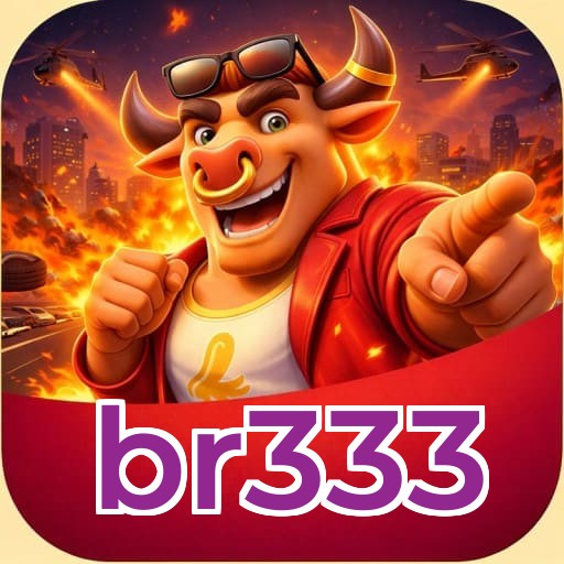br333