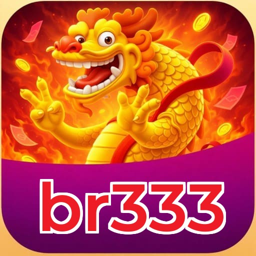 br333
